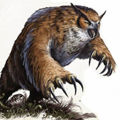 Raging Owl Bear
