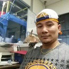 My Music