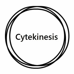 Cytekinesis