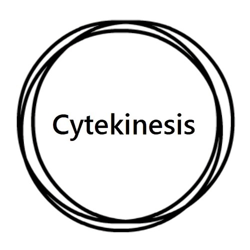 Cytekinesis’s avatar