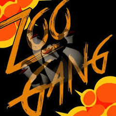 Valley Zoo Records