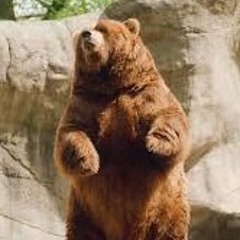 中國新說唱