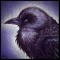 Listening & Singing