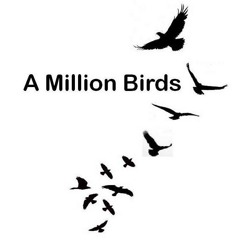 A Million Birds 🐦