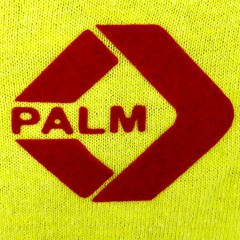 Palm Studios