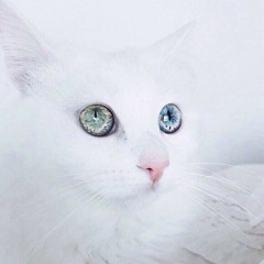 Marina And The Diamonds - I Wanna Be Immortal
