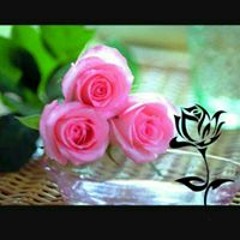 Jasmine Elsayegh