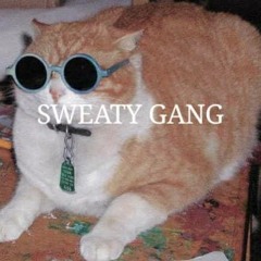 SWEATY GANG