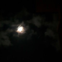 arjux