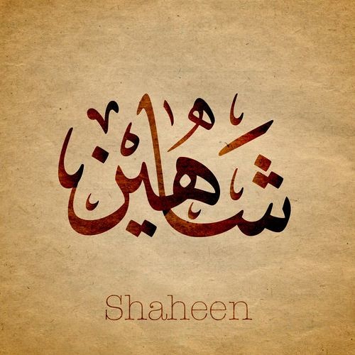 سعدون المجنون - علي ابو الحسن