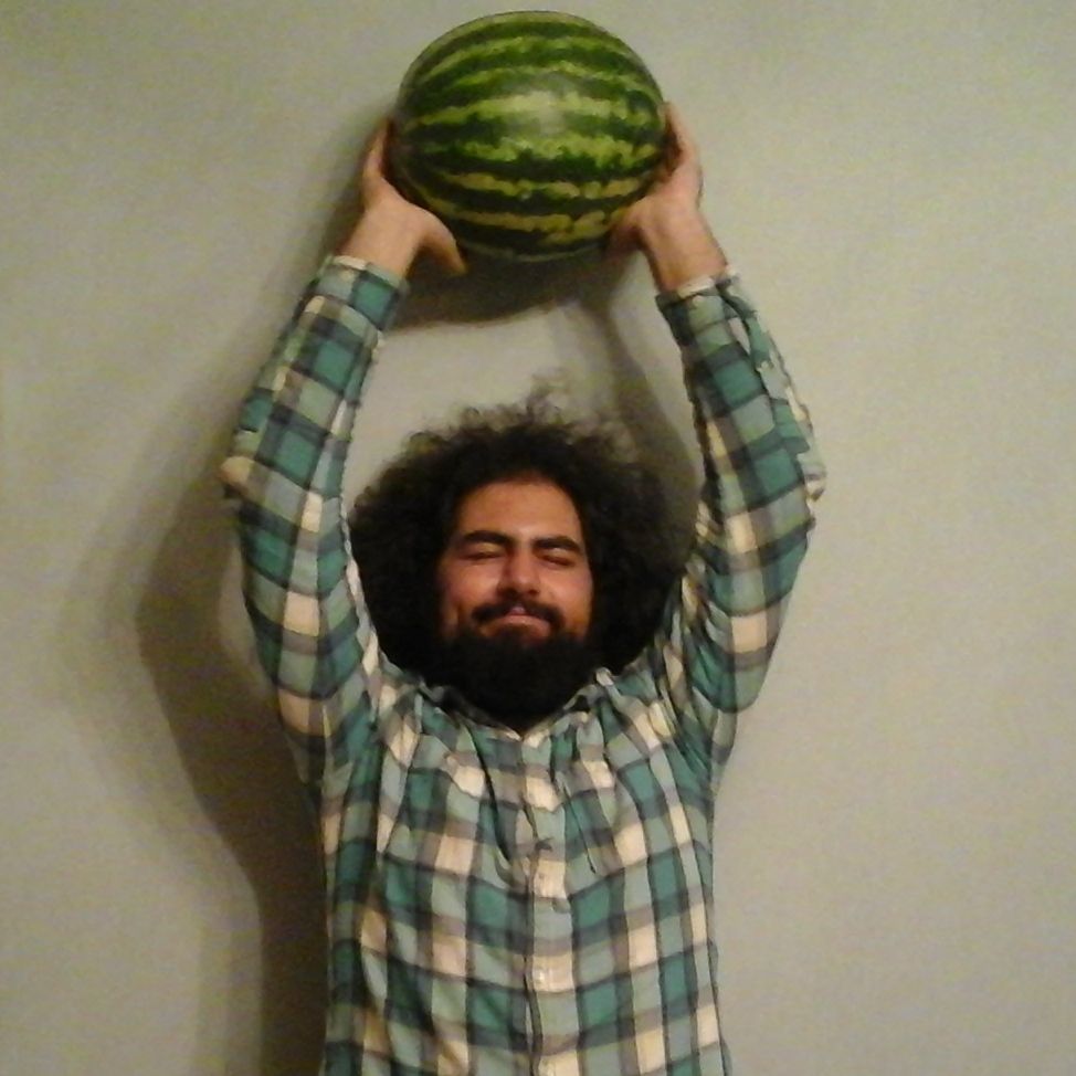 Milad Farzaneh