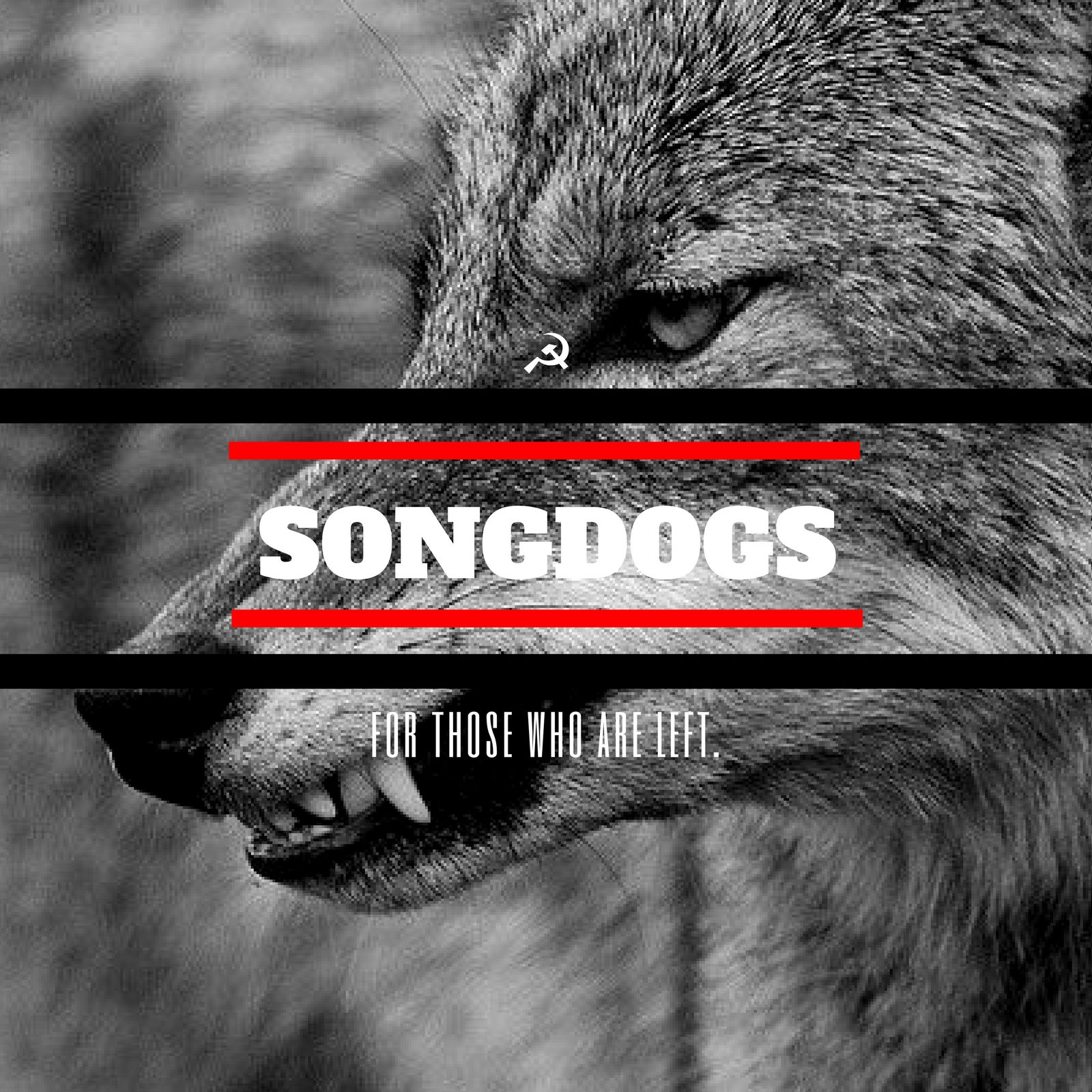 Songdogs