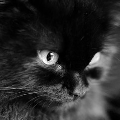 Diego Sebastián Monzón