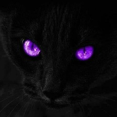 SilentSpaceCat