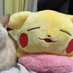 waai