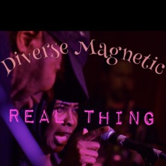 Diverse Magnetic