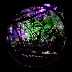 Muddi von Lotterstein