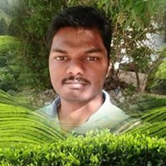Stalin A Thomas Nilambur