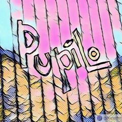 Pupilo