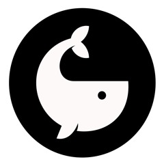 WhaleReports