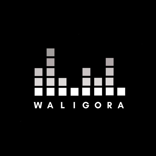 Alex Waligóra’s avatar