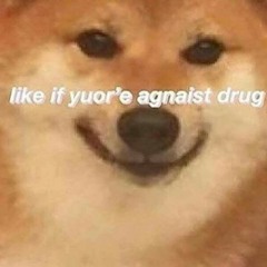 no_to_luksja
