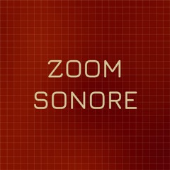 Zoom Sonore