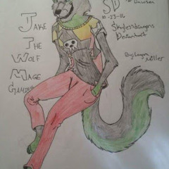 jake the wolf mage gaming