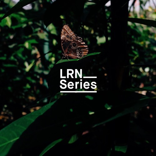 LRN Series’s avatar