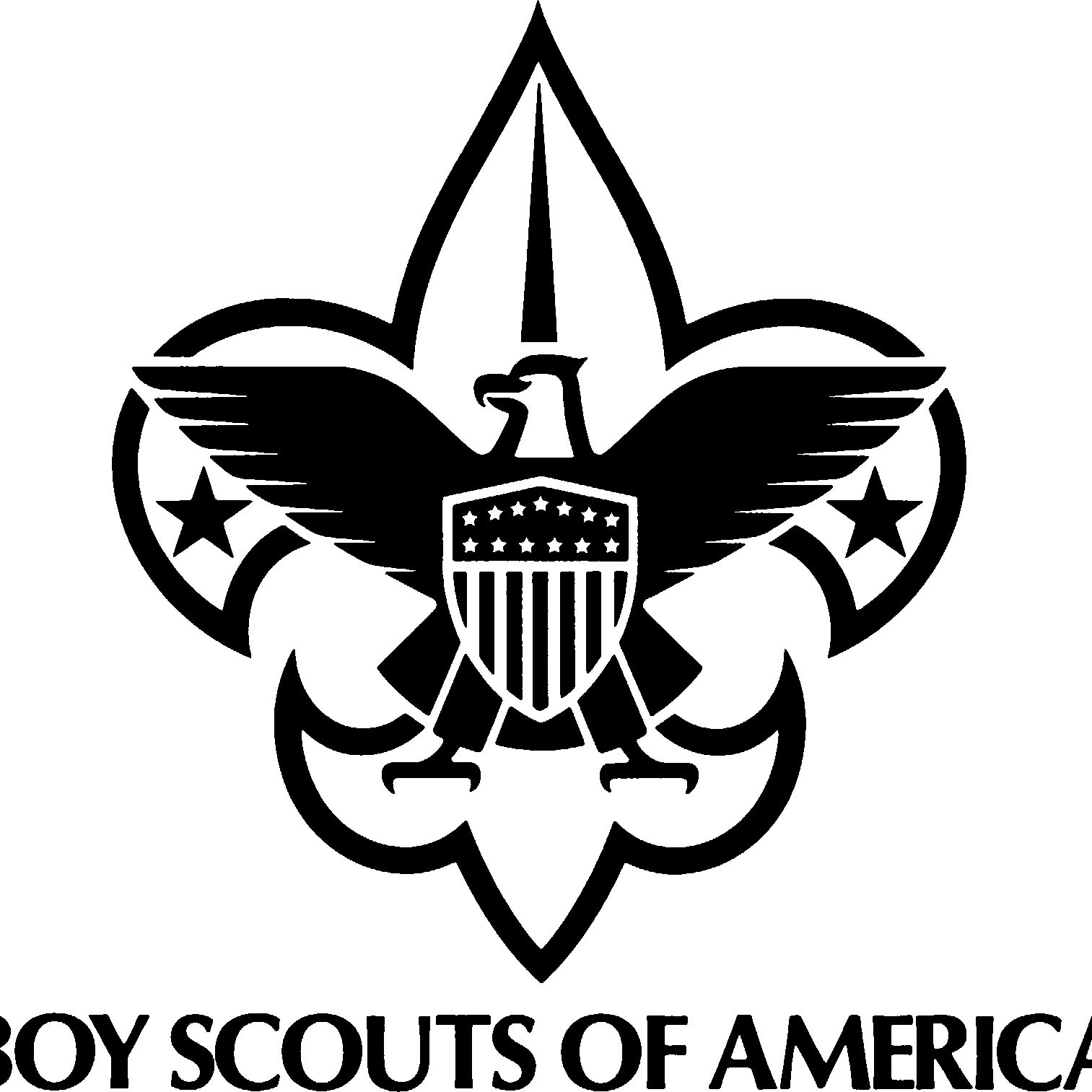 Boy Scouting Today