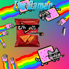 the gamer