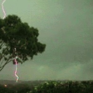 🔴 LoA, Malu & Totholz5D