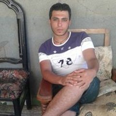 ابو حلمى