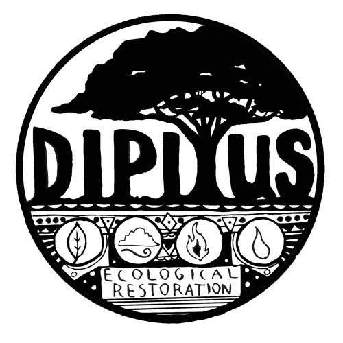 Dipitus’s avatar