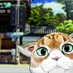 A Puzzled Cat