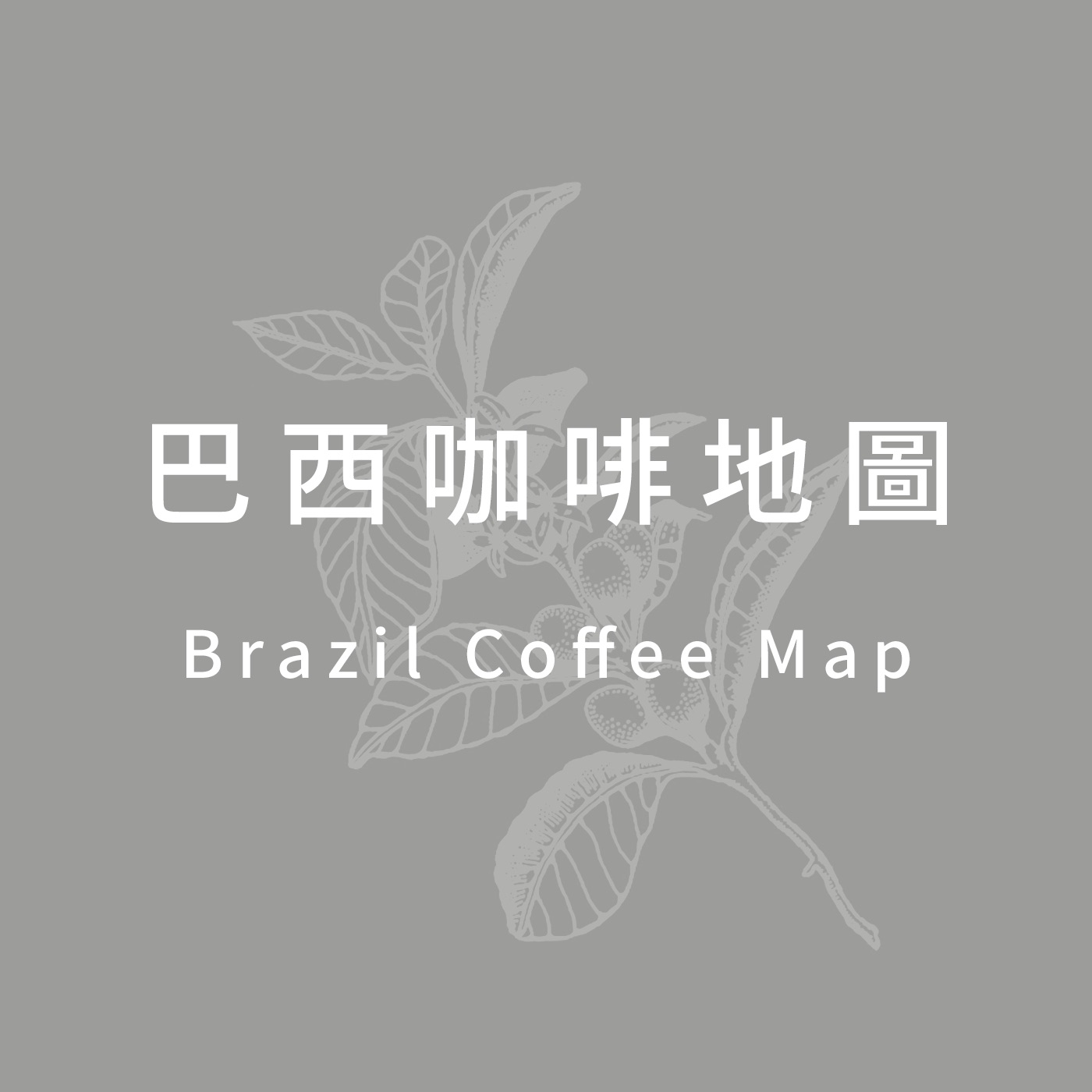 Brazil Coffee Map