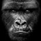 KIRAMBE FITNESS -