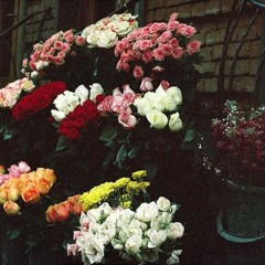 Leris_Gr