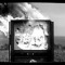 MG & the TV