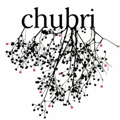 Chubri - çentr linghistiq du galo