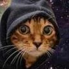 Hood cat