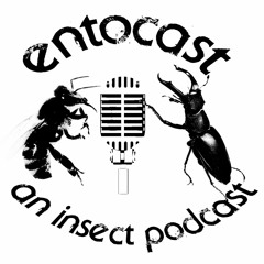 Entocast