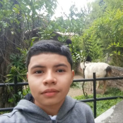 Miguel Garcia
