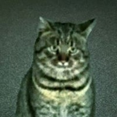 DarkMourek