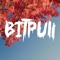 BITPULL