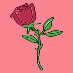 rose garden