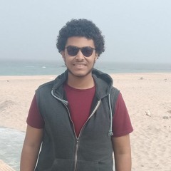 ameen khaleed