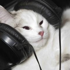 <3