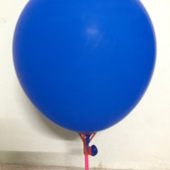 Sống không chỉ là Junege