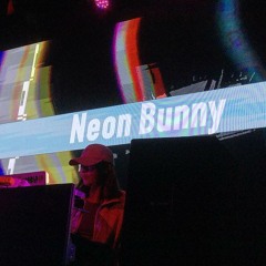 Neon bunny